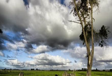 智利球员致敬传奇，誓将荣誉传承下去
