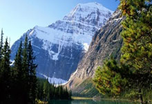 《爵士队后场组织井然有序，助球队击败对手》