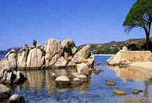 弱旅意外绝杀引发观众惊呼