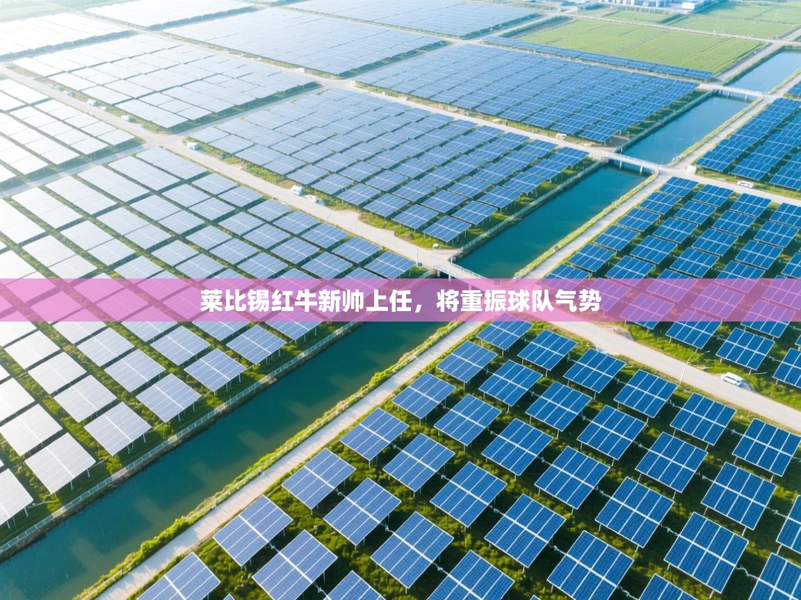 莱比锡红牛新帅上任，将重振球队气势