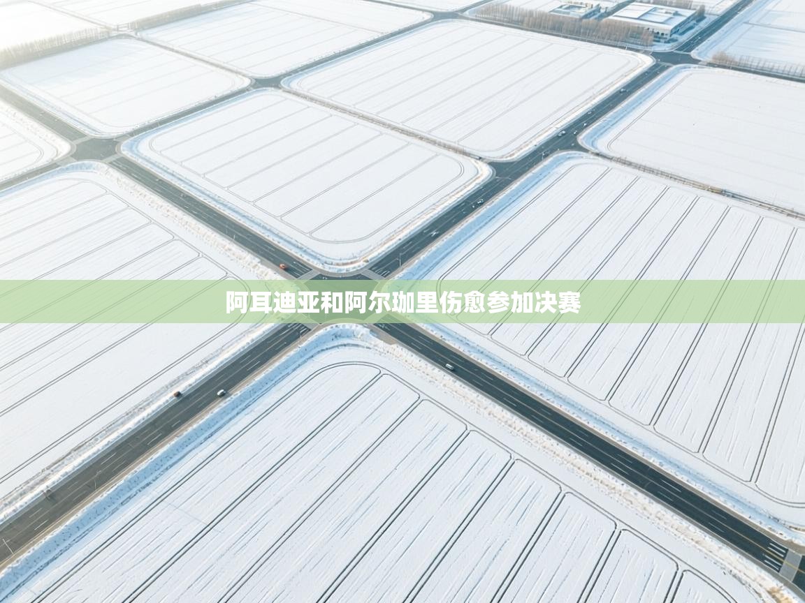 阿耳迪亚和阿尔珈里伤愈参加决赛