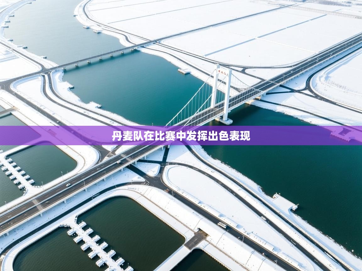 丹麦队在比赛中发挥出色表现